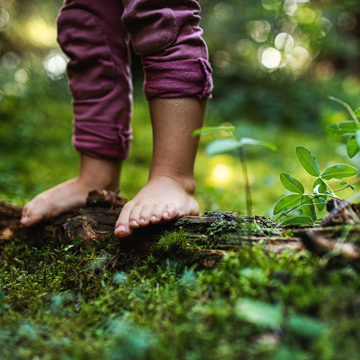 Barfüßiges Kind steht auf einem moosbewachsenen Baumstamm im Wald – Profilbild der Kita kinderGrün