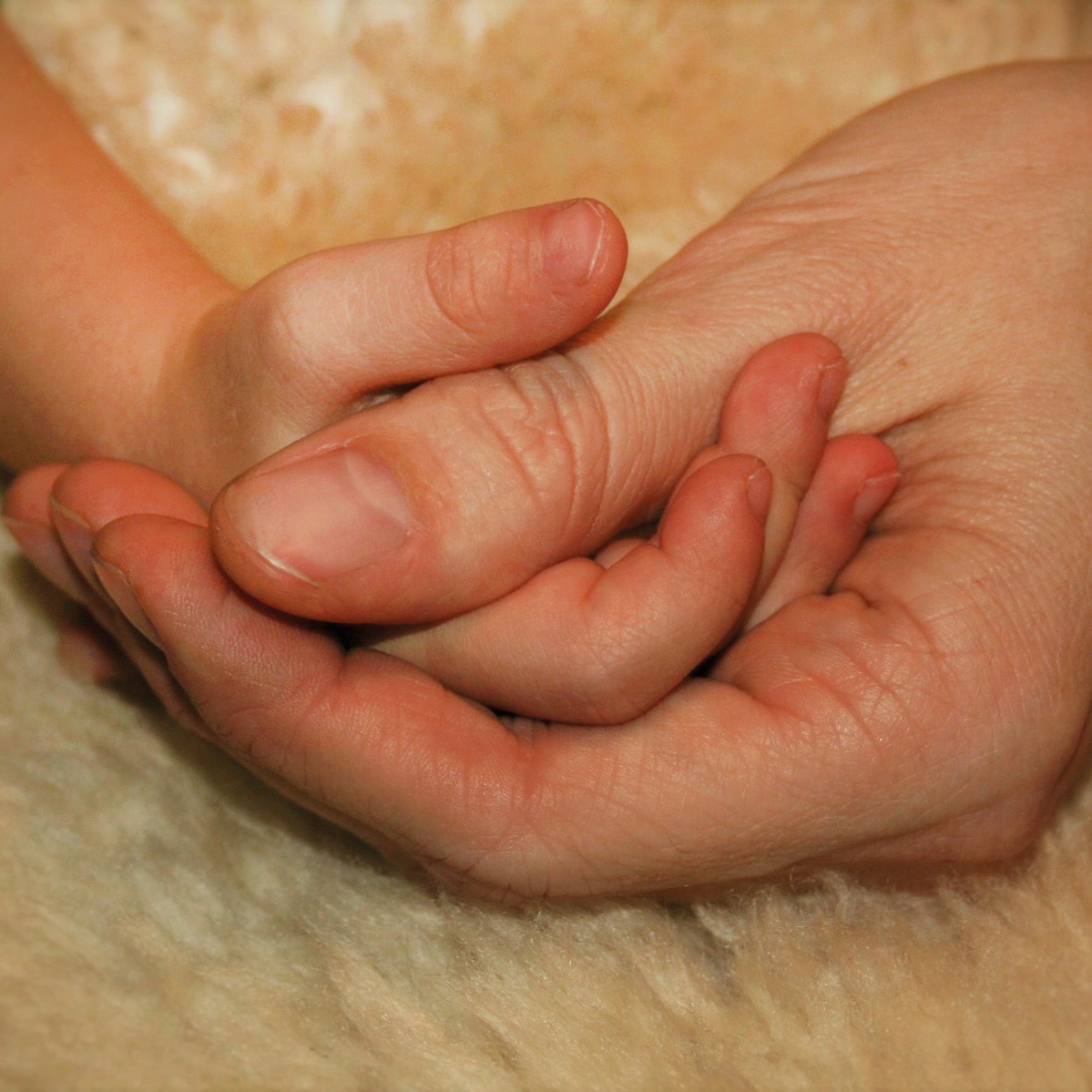 Erwachsenenhand hält behutsam eine kleine Kinderhand auf weichem Wolluntergrund – Profilbild des Familienstützpunkts familienSchwinge.
