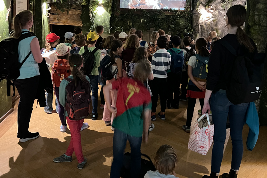 IMG_2214_0000_IMG_3947