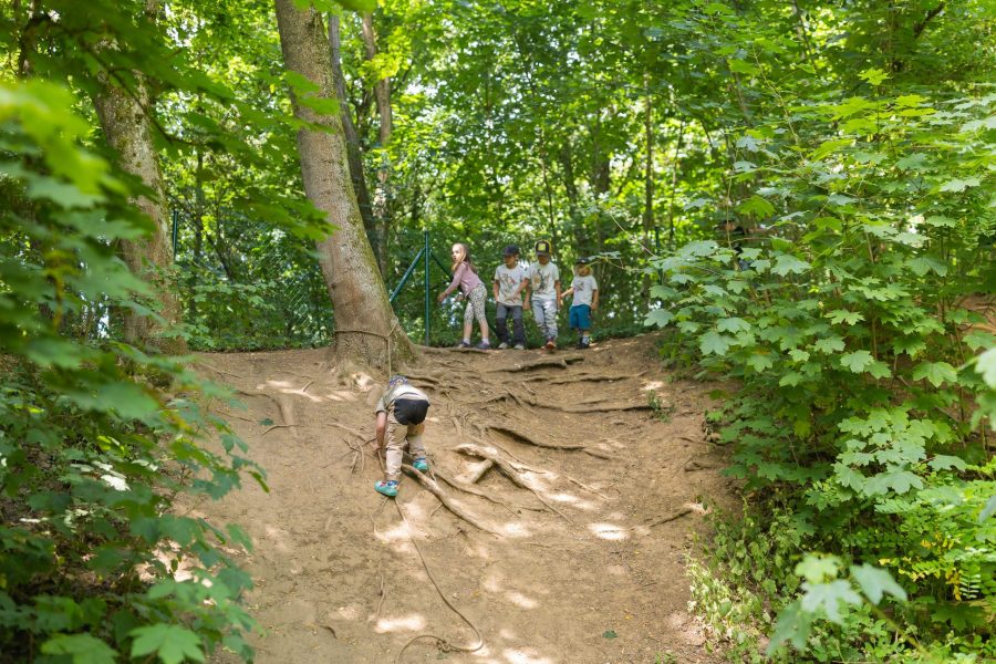 Kinder klettern einen Waldhang hinauf.