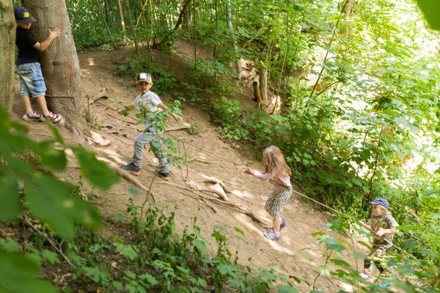 Kinder bewegen sich gemeinsam einen bewaldeten Hang hinauf und hinunter während eines Waldtages einer Kindertagesstätte in Ingolstadt.