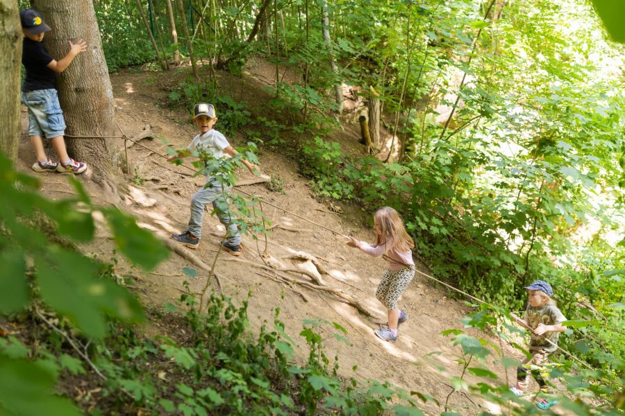 Kinder am Waldhang bei kinderGrün.
